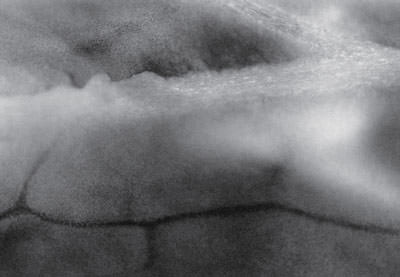 徳永好恵　Yoshie Tokunaga